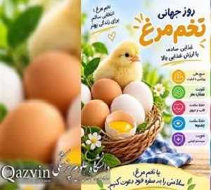 روز جهانی تخم مرغ.png